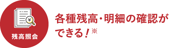 各種残高・明細の確認ができる！※